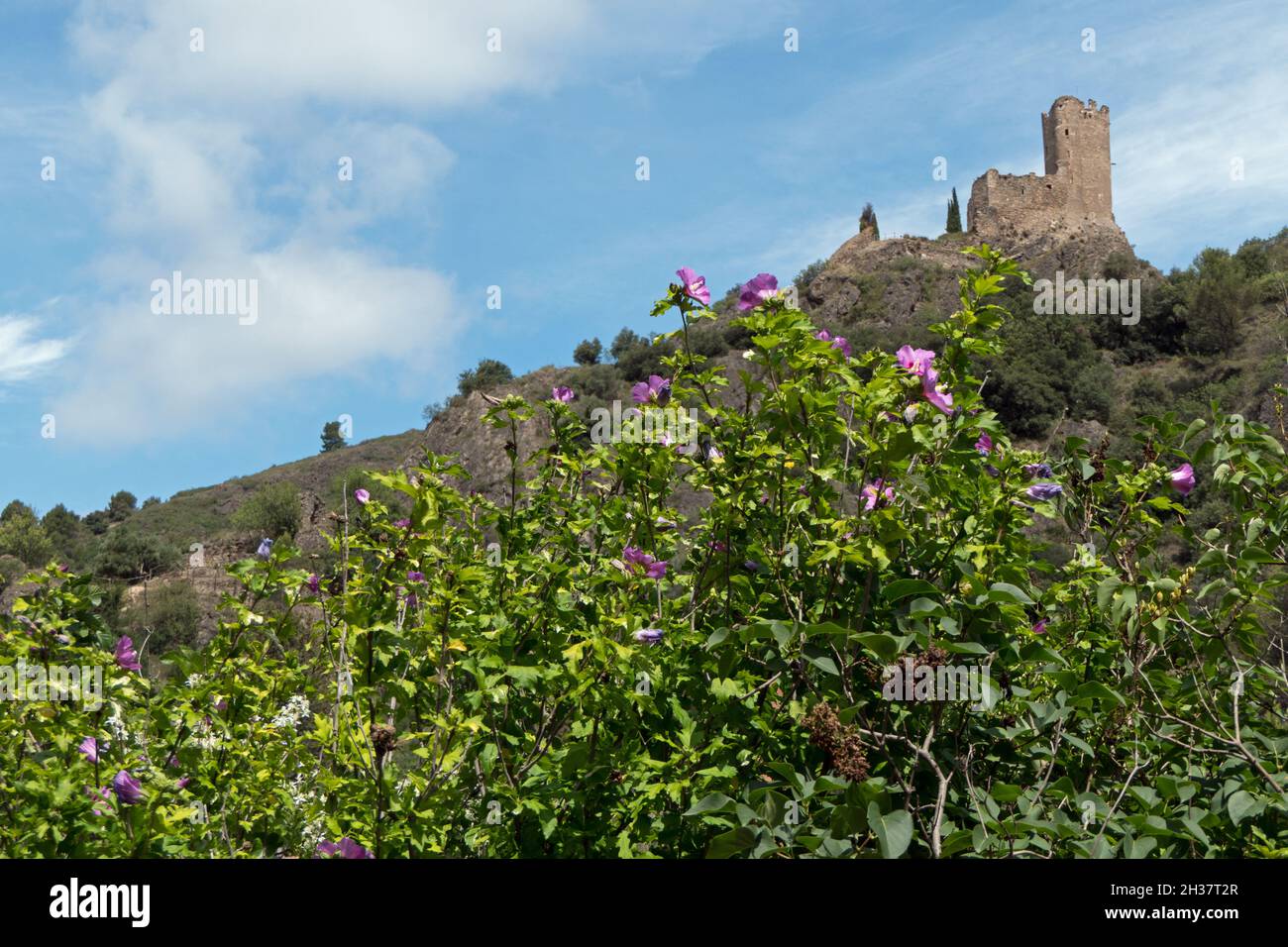 Vista di Lastours in Francia, caratteristico antico borgo francese con rovine di castelli catari medievali sulle colline Foto Stock