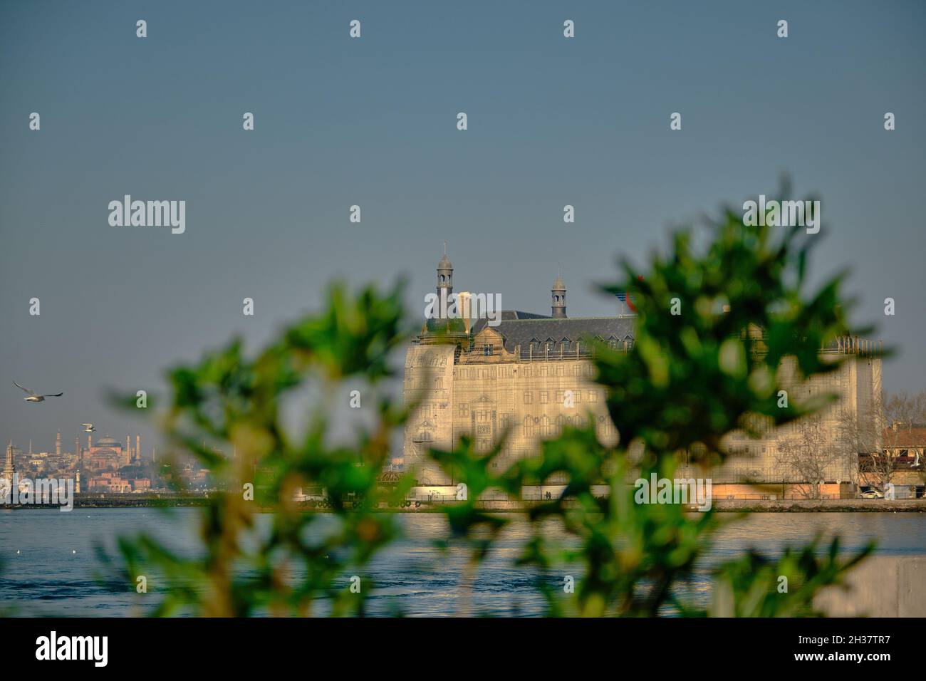 Piante verdi e pino insieme con haydarpasa principale sfocato stazione ferroviaria di istanbul turchia Foto Stock