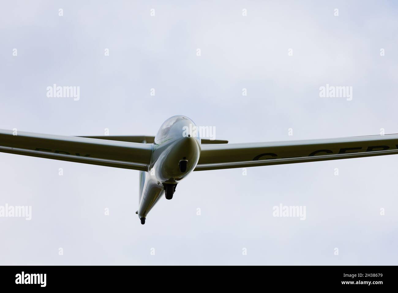 ASK21 Glider, G-CFBV, sbarco a Lleweni Parc, Denbighshire, Galles. Foto Stock