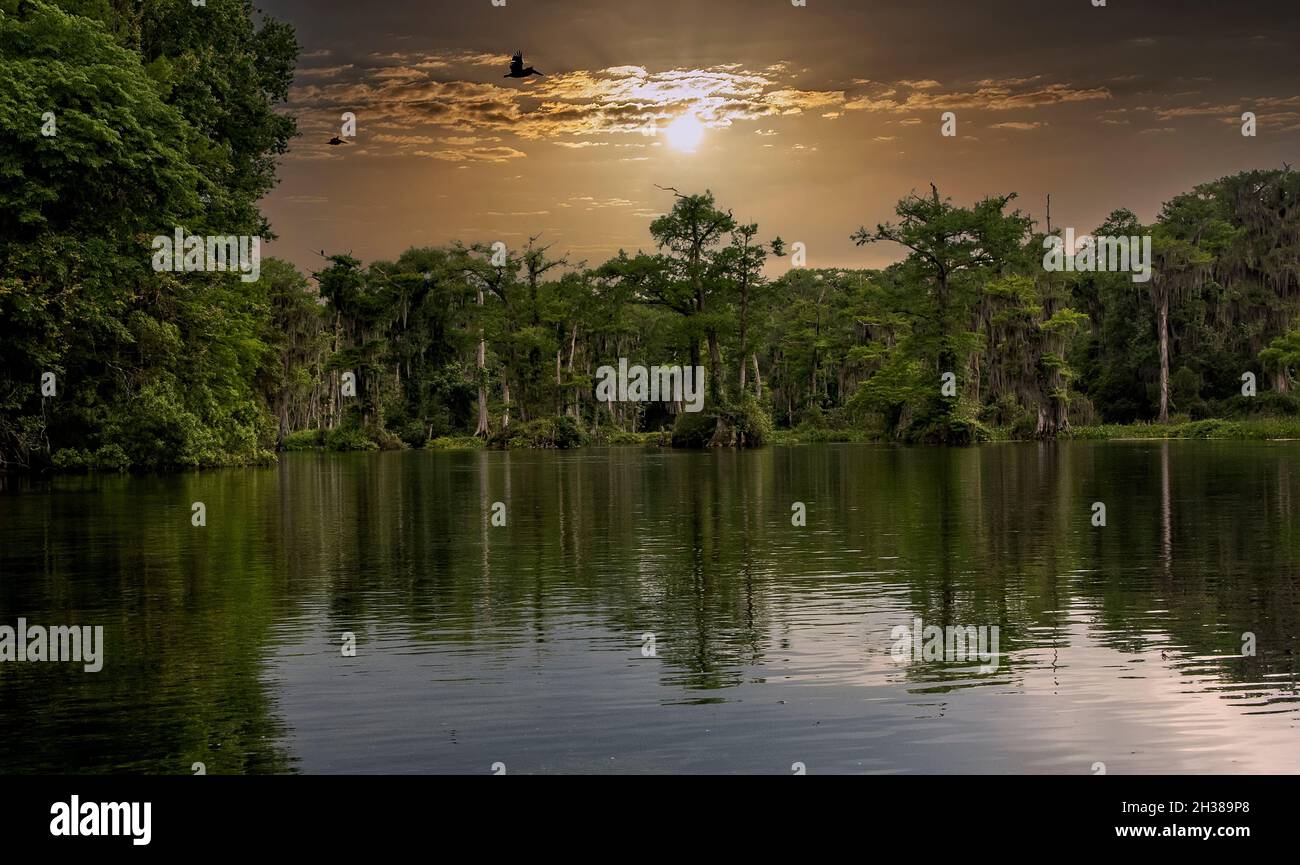 Cielo serale sul Wakulla Springs state Park a Tallahassee, Florida Foto Stock