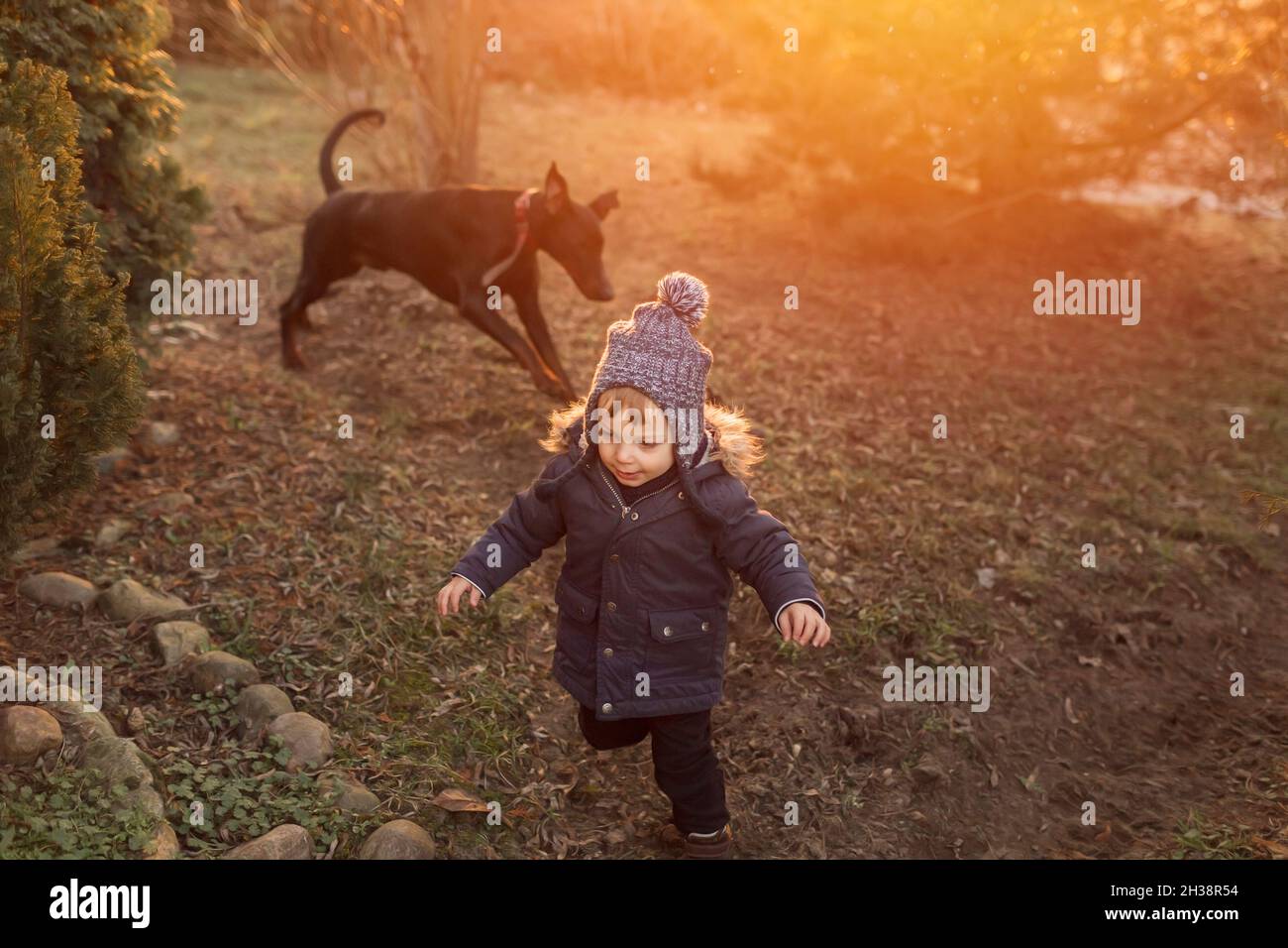 Ragazzo toddler in giacca calda e cappello di lana che corre con doberman p Foto Stock