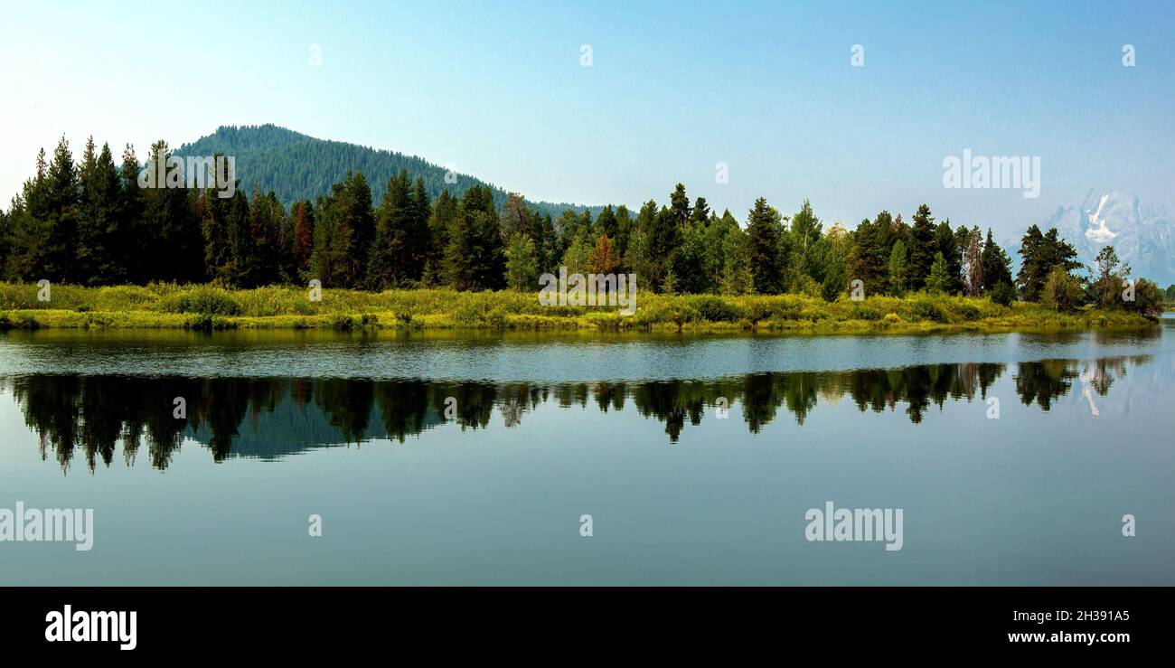 Alberi che si riflettono in Snake River, Grand Teton National Park, Wyoming Foto Stock