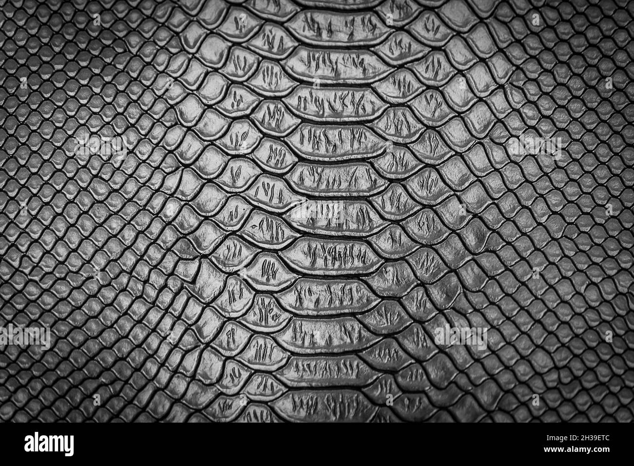 primo piano di pelle serpente texture utilizzare per lo sfondo Foto Stock