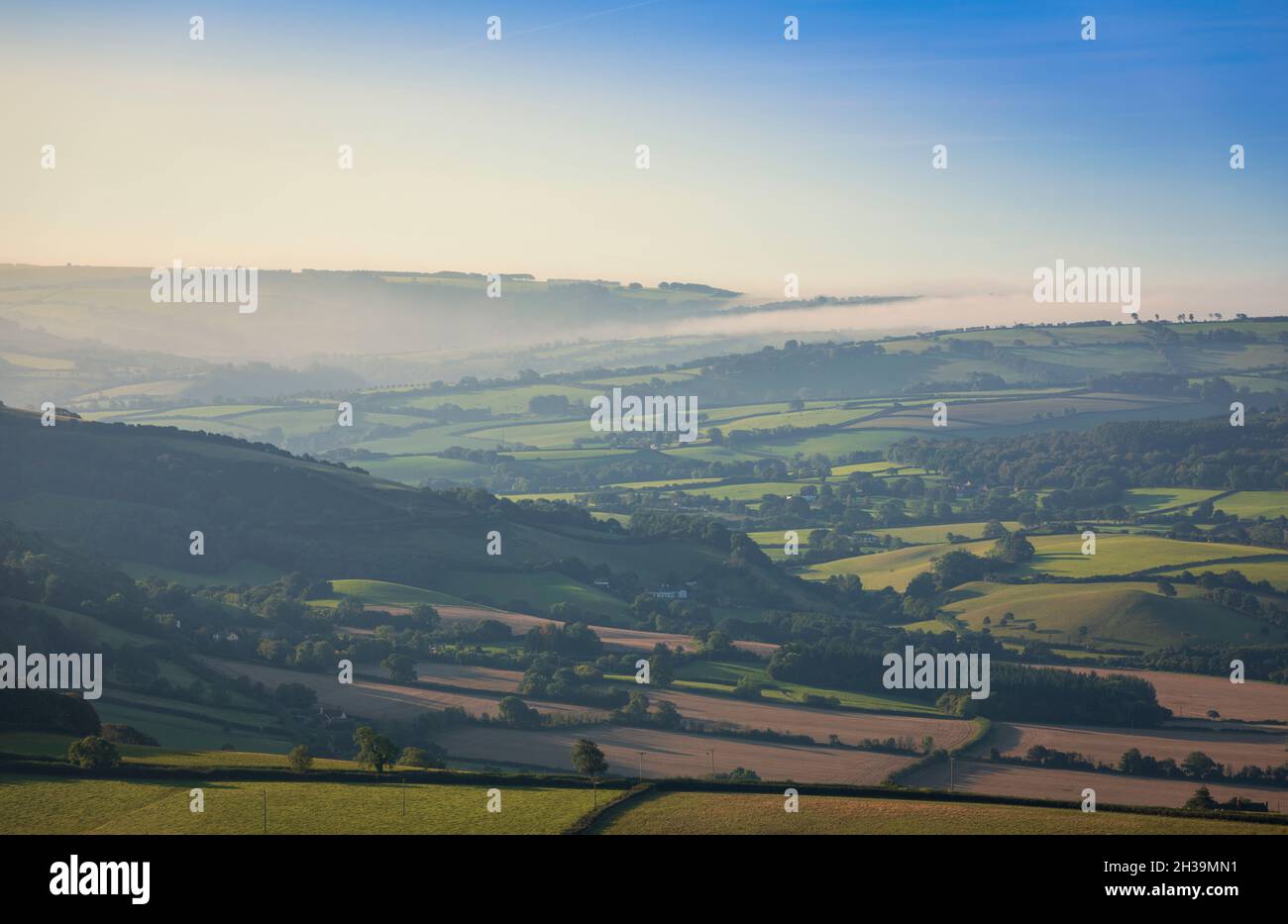 Nebbia di prima mattina che si schiarendo oltre il bordo di Exmoor, da Bossington Hill, Somerset, Inghilterra sud-occidentale UK Foto Stock