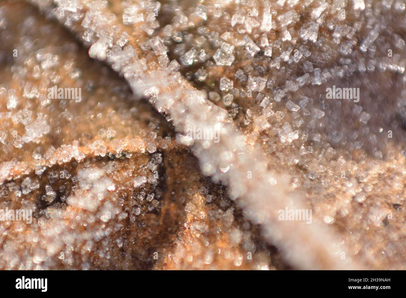 Cristalli di ghiaccio su una foglia. Foto Stock