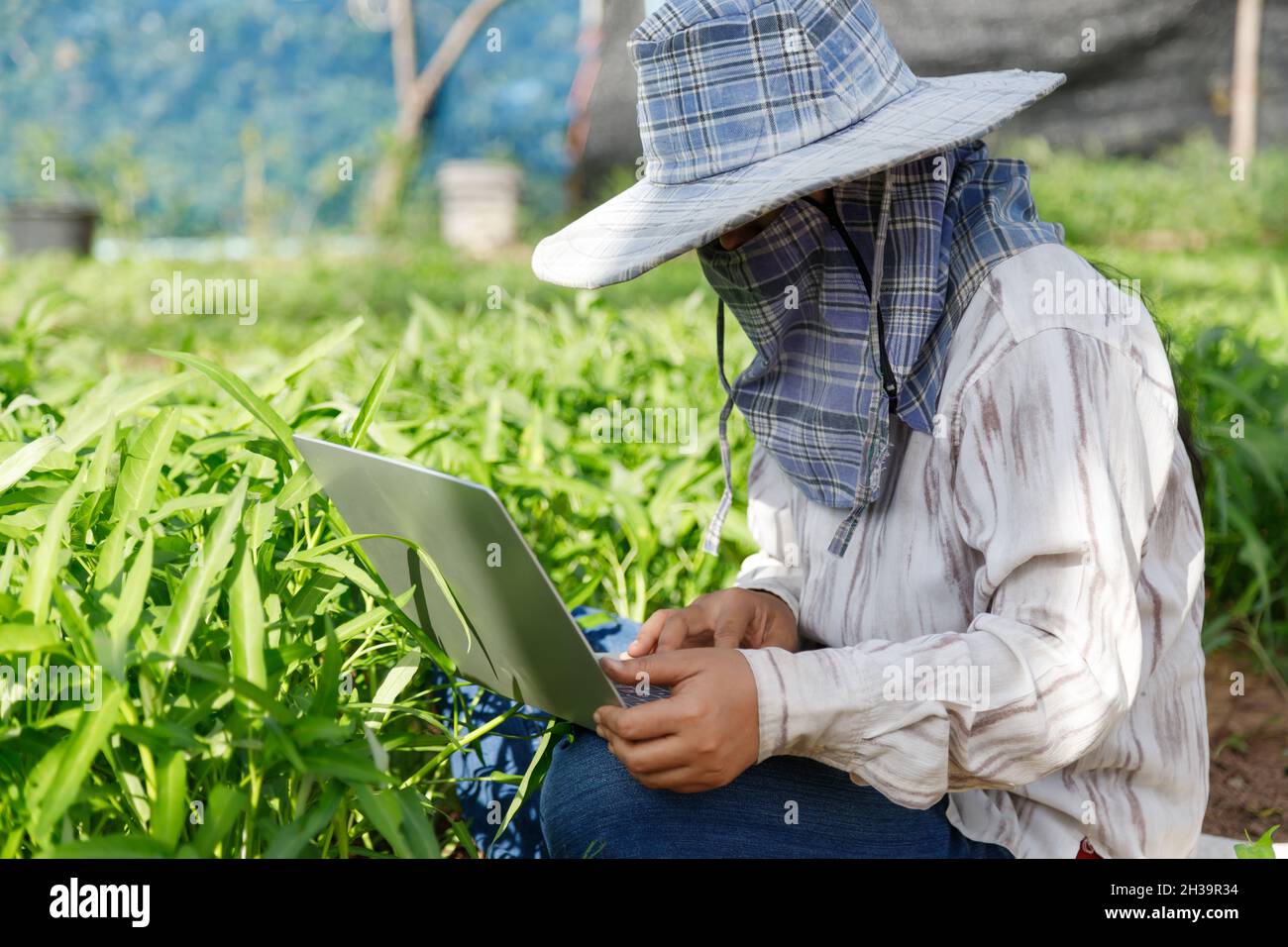 L'agricoltore thailandese sta utilizzando un computer portatile in una fresca fattoria di ortaggi mattina gloria, cibo sano biologico e concetto di tecnologia, selezionare focus dept poco profondo Foto Stock