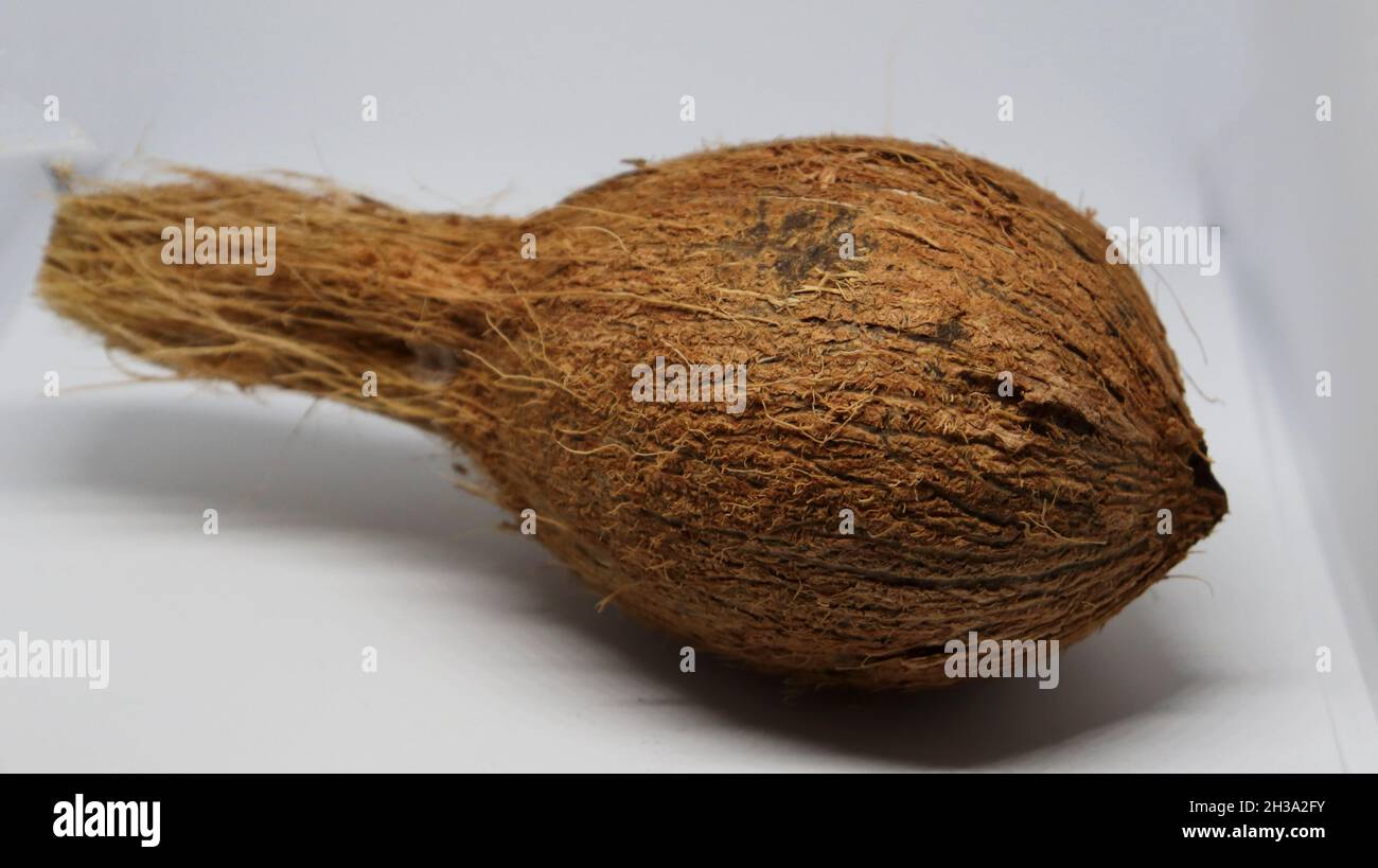 Fondo bianco di cocco con kutumi Foto Stock