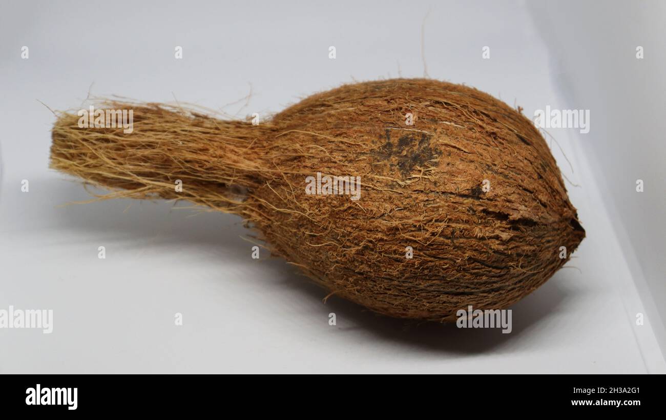 Fondo bianco di cocco con kutumi Foto Stock