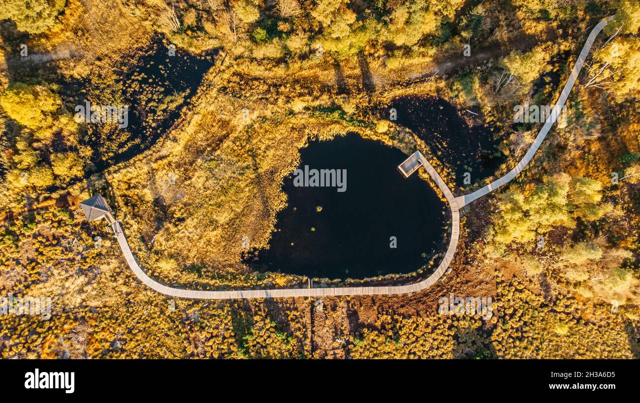 Torba bog vicino Pernink villaggio in Krusne hory, Ore montagne, Repubblica Ceca.Riserva naturale protetta.paesaggio aereo colorato.vista dall'alto drone shot Foto Stock