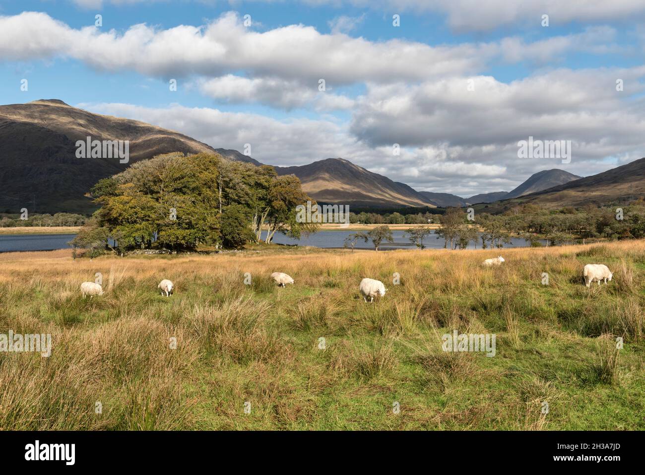Loch awe, Argyll e Bute, Scozia, Regno Unito Foto Stock