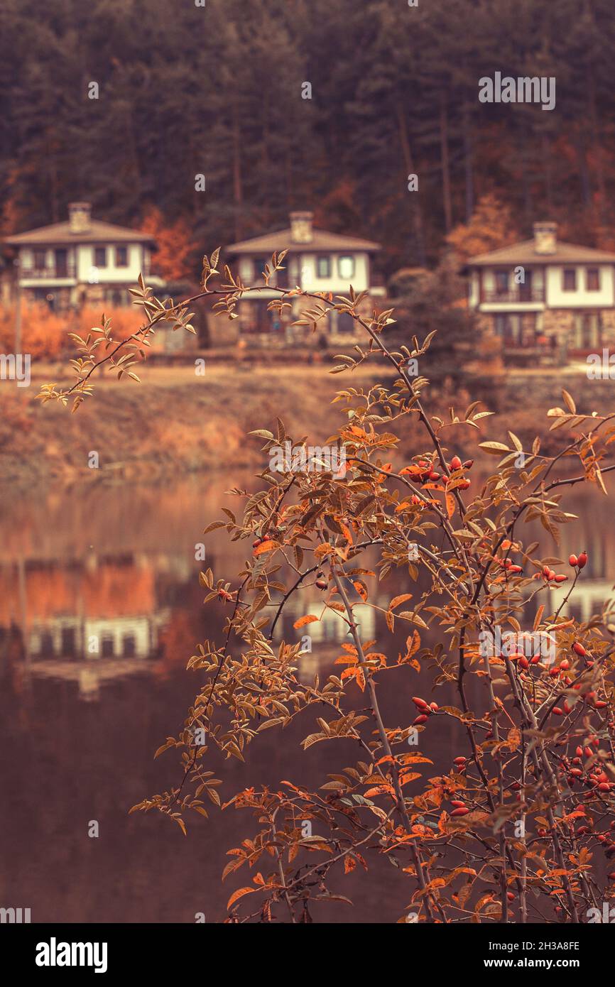 Paesaggio autunnale con lago e case, colori arancio, rosa anca, Bulgaria Foto Stock