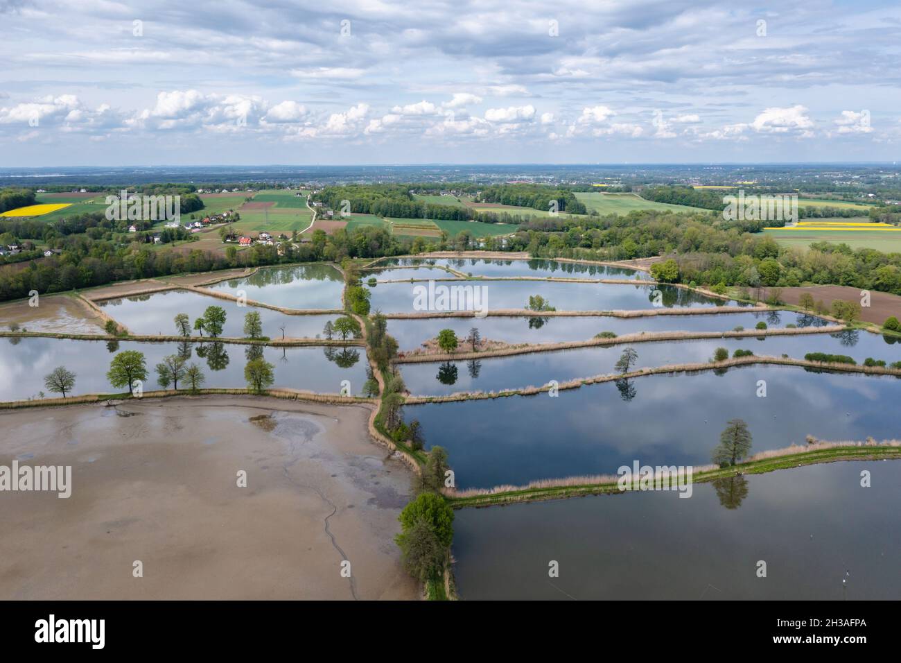 Stagni di pesce nel villaggio di Miedzyrzecze Gorne nella contea di Bielsko, Voivodato silesiano della Polonia centrale Foto Stock