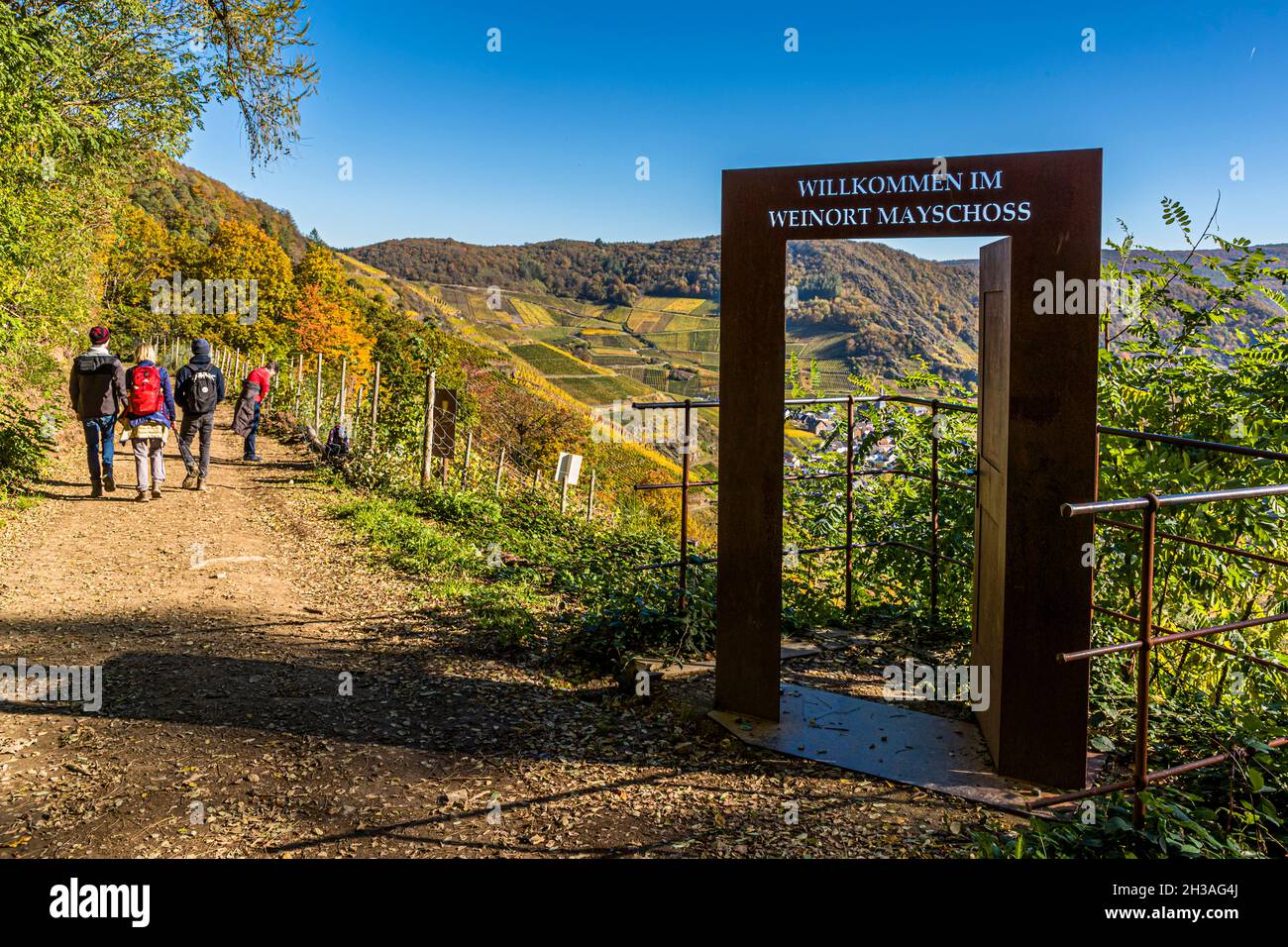 La regione vinicola vicino a Mayschoß, in Germania, vi invita a fare escursioni in autunno Foto Stock