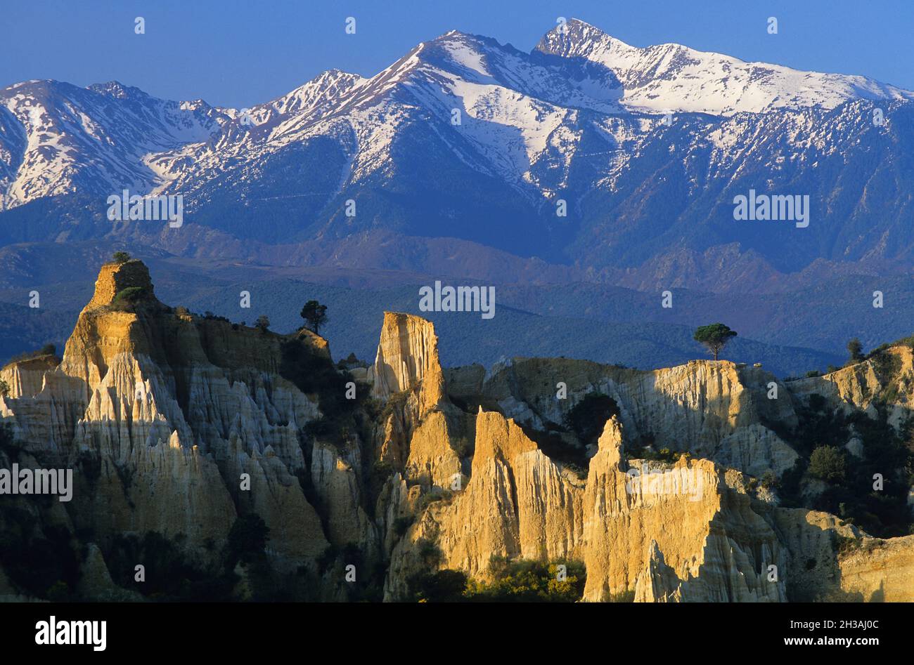 FRANCIA. PYRENNEES-ORIENTALES (66) COLONNE DI TILLE-SUR-TET Foto Stock