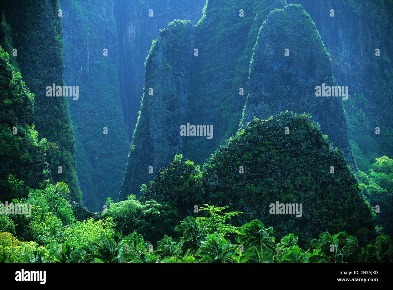 POLINESIA FRANCESE. ARCIPELAGO DELLE MARCHESI (ARCHIPEL DES MARCHISES). ISOLA DI NUKU HIVA. CASCATE DI HAKAUI SURROUNDES IN MONTAGNA Foto Stock