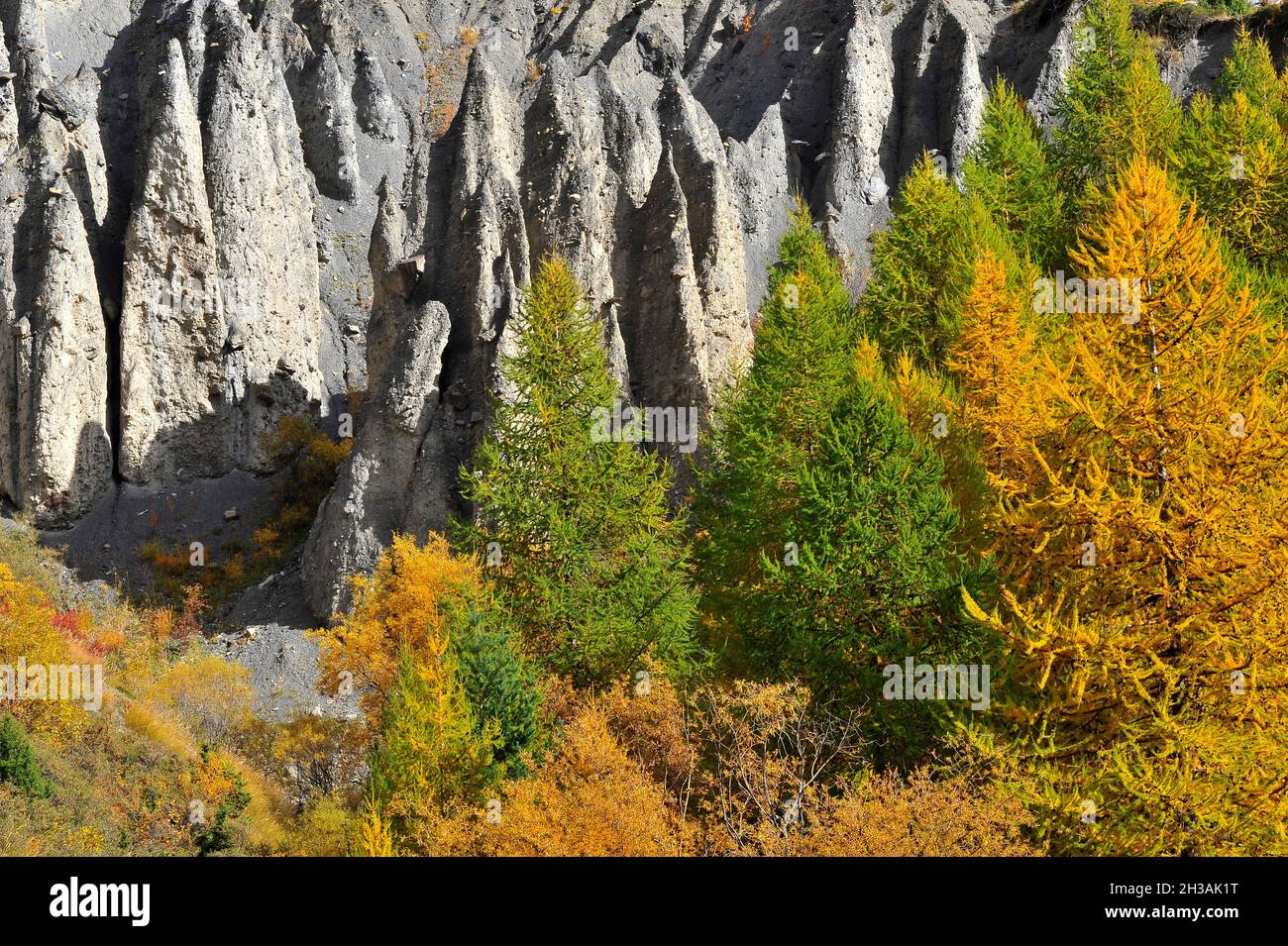 FRANCIA. ALPES-DE-HAUTE-PROVENCE (04) LA DURANCE VALLEY. I PENITENTS DES MEES (ROCCE MEES) Foto Stock