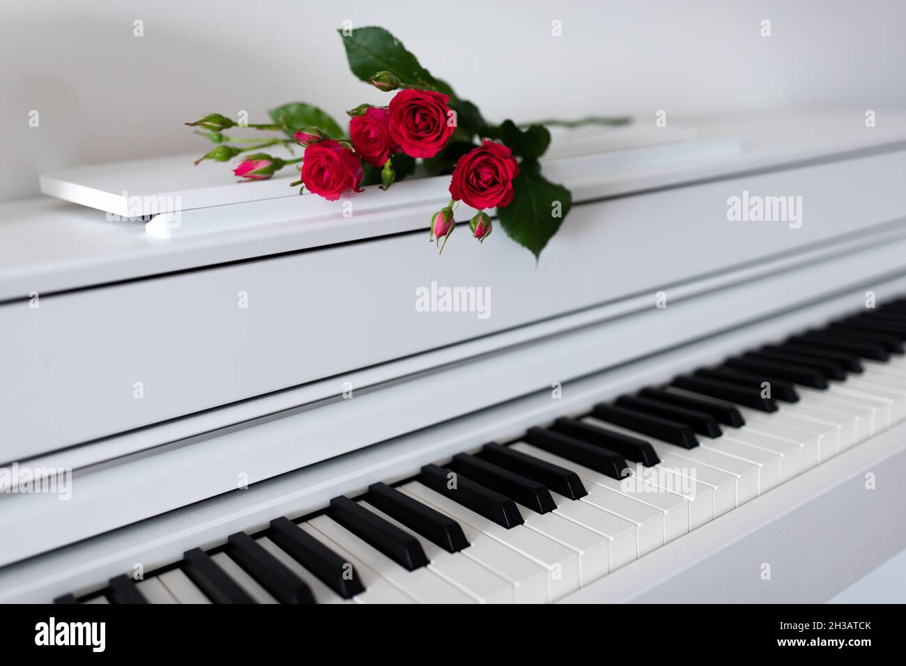 Un bouquet di fiori giace sul pianoforte con le chiavi aperte. Imparare musica, gratitudine. Foto Stock