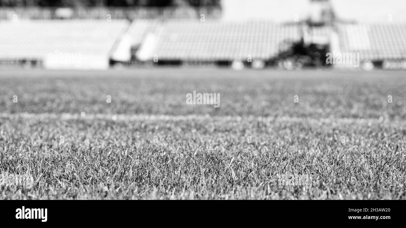 erba verde sullo stadio all'aperto, fuoco selettivo. sport e giochi. stile di vita sano. campo da calcio. gridiron con contrassegni. stadio arena Foto Stock
