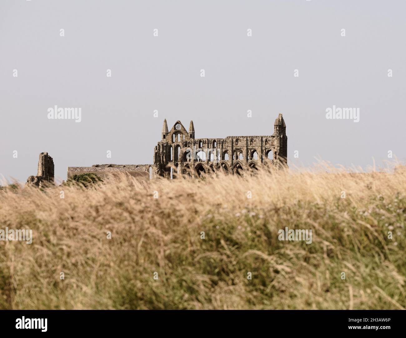 Le lontane rovine gotiche dell'Abbazia di Whitby un monastero cristiano del 7° secolo divenne in seguito un'abbazia benedettina, gestita da English Heritage, Yorkshire UK Foto Stock