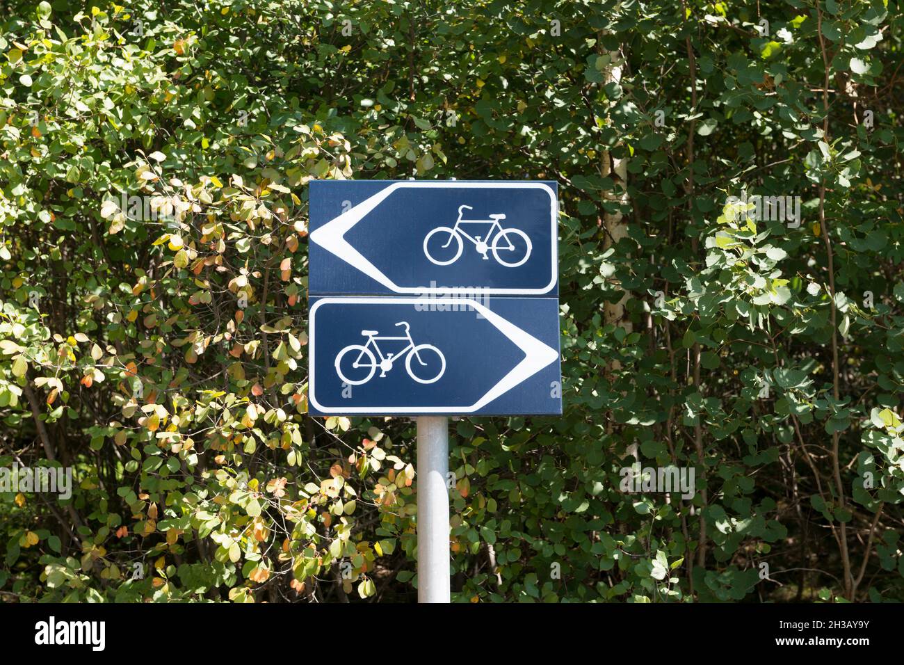 Segnaletica Bicycle Lane Foto Stock