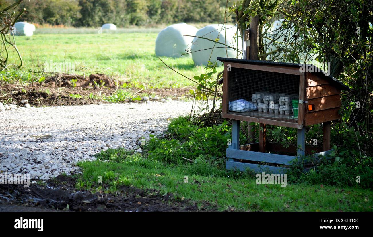 Uova fresche in vendita a lato di una pista agricola. Le uova sono lasciate in una scatola rustica con una scatola di onestà. Le balle sono visibili anche sul campo Foto Stock