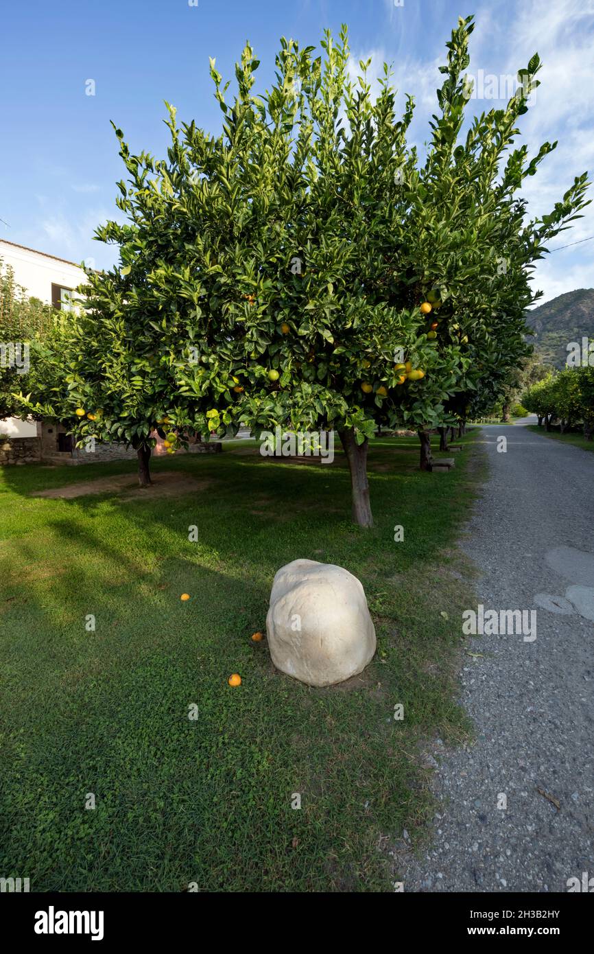 Italia, Calabria, Locri (RC), agriturismo Foto Stock