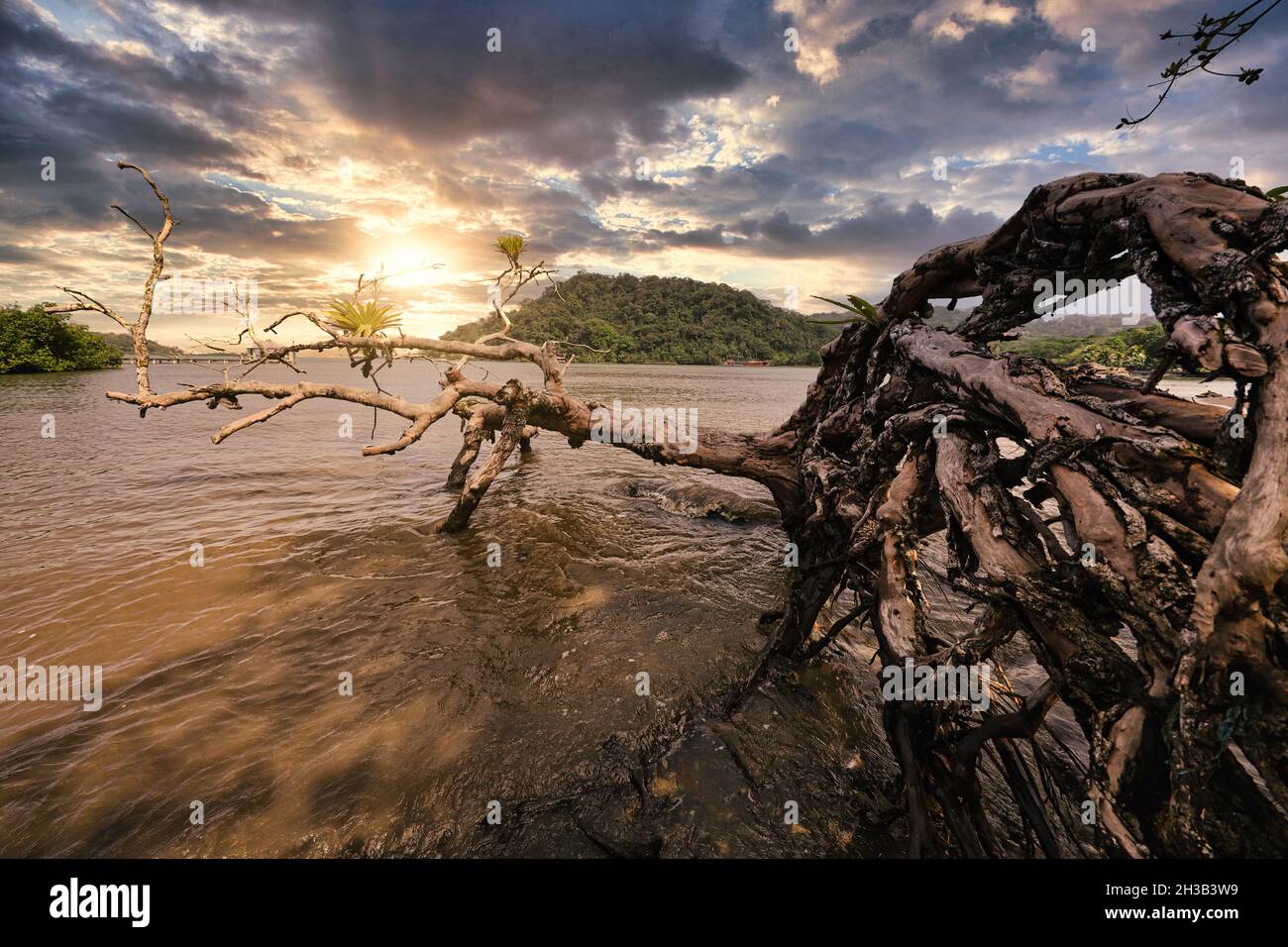 500px Photo ID: 1010275283 - Foto Stock