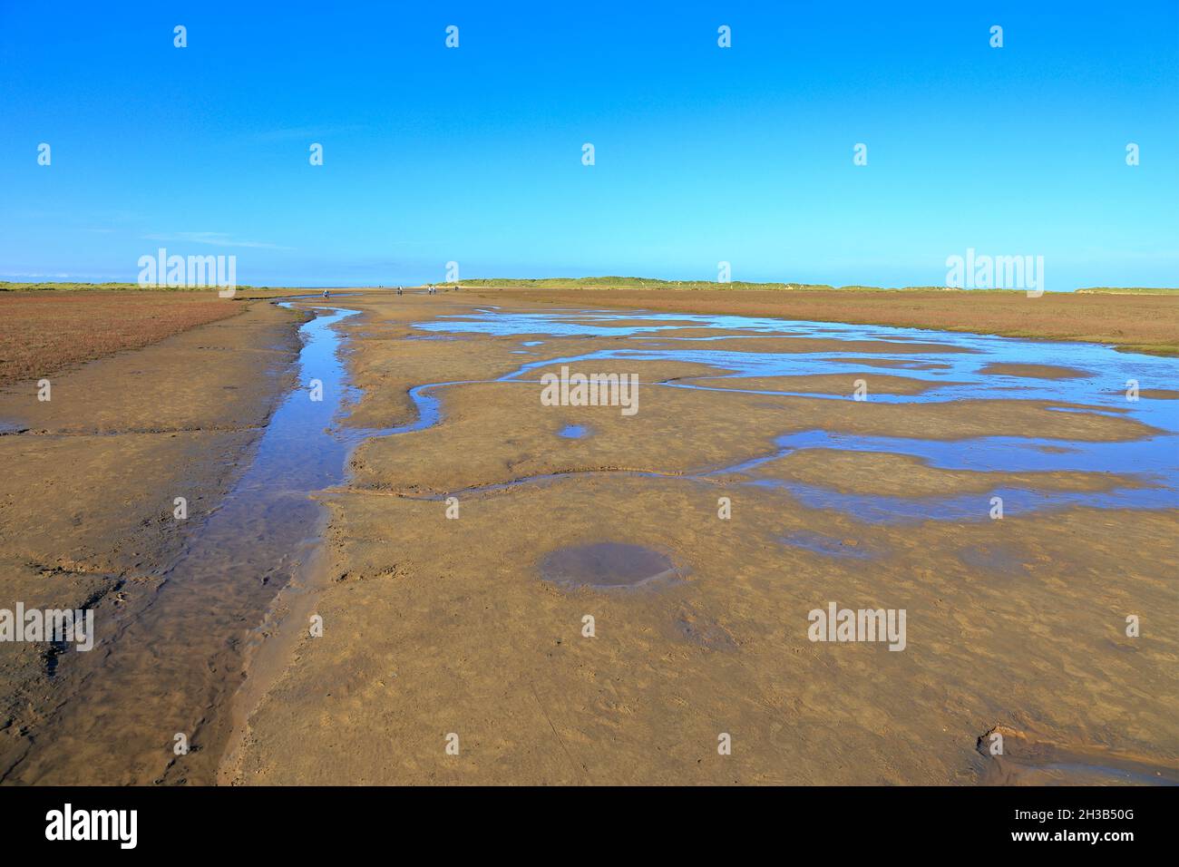 Palude di sale a bassa marea, riserva naturale nazionale di Holkham, Sentiero della costa di Norfolk, Holkham, Norfolk, Inghilterra, REGNO UNITO. Foto Stock