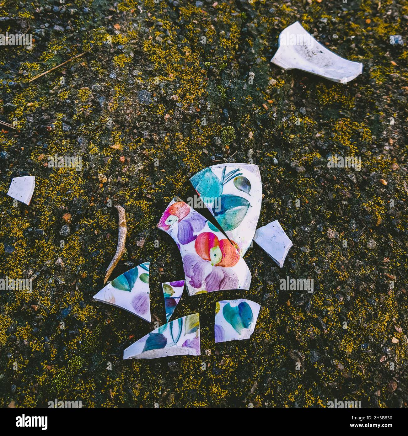 schegge di piatti in ceramica sul vecchio asfalto. Foto Stock