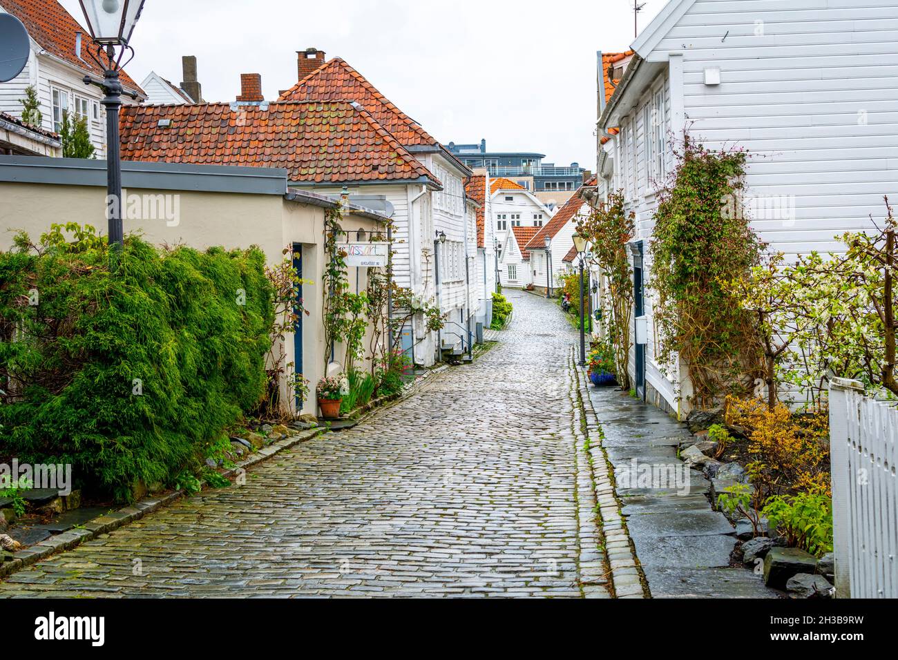 Stavanger, Norvegia, maggio 2015: Vista su una stradina acciottolata nel centro storico di gamle Stavanger, Norvegia Foto Stock