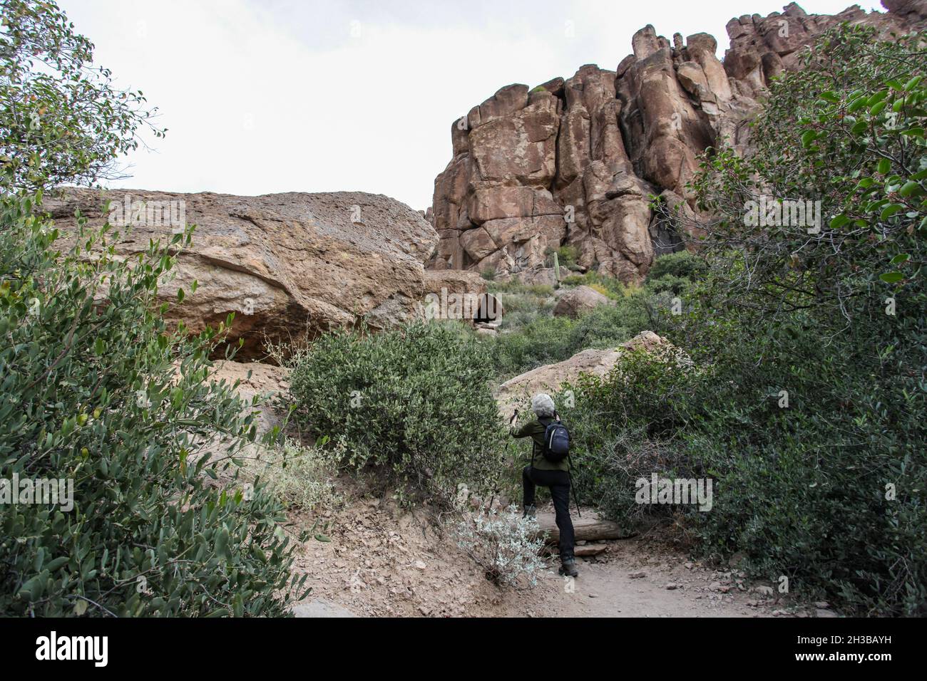 Il Peralta Canyon Trail, un'ottima escursione nelle Superstition Mountains occidentali in Arizona Foto Stock