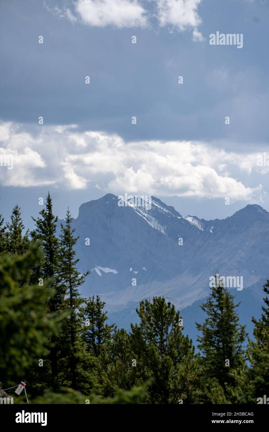 Colpo verticale di enormi montagne innevate con alberi verdi in primo piano sotto il cielo nuvoloso Foto Stock