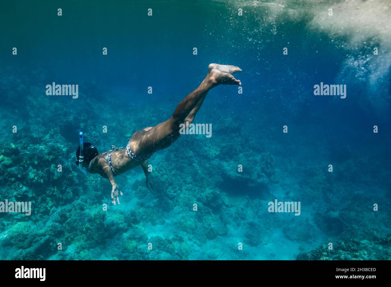 Le donne nuotano sott'acqua nelle acque blu hawaiane Foto Stock