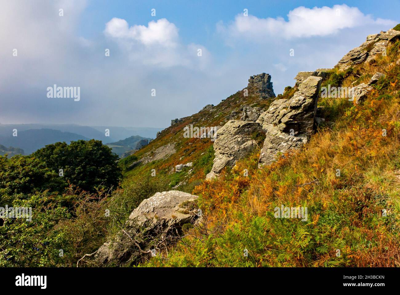 La Valle delle rocce vicino a Lynmouth nel Parco Nazionale Exmoor North Devon Inghilterra Regno Unito Foto Stock
