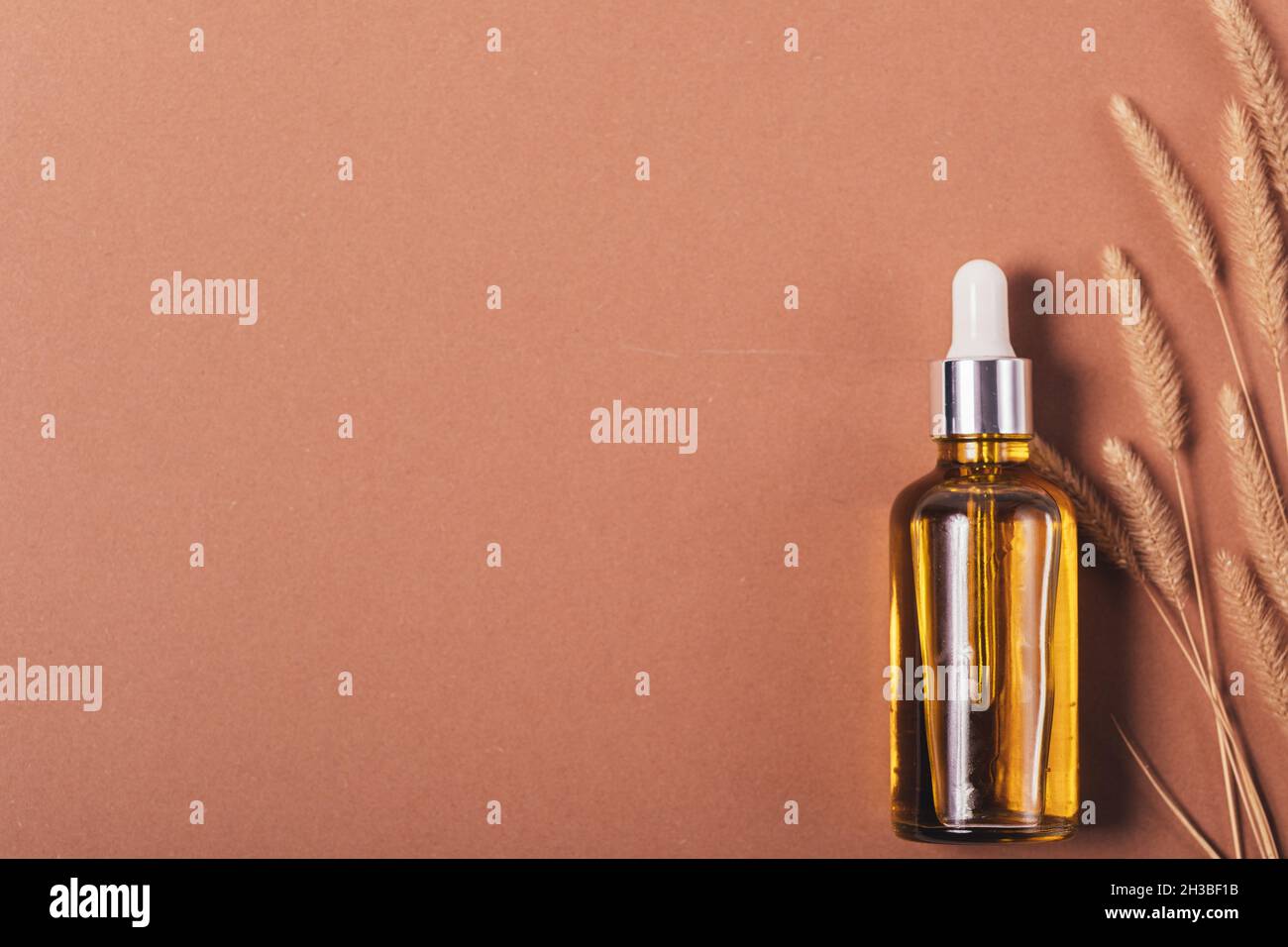 Bottiglia per olio cosmetico organico con pipetta accanto alle piante secche su sfondo marrone con spazio di copia, primo piano, disposizione piatta Foto Stock