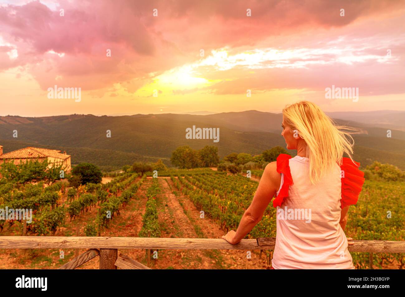 Lato posteriore della donna che guarda le file terrazzate di uva al tramonto della città toscana di Montalcino in Italia. Campi toscani in vigneti di campagna italiani e. Foto Stock