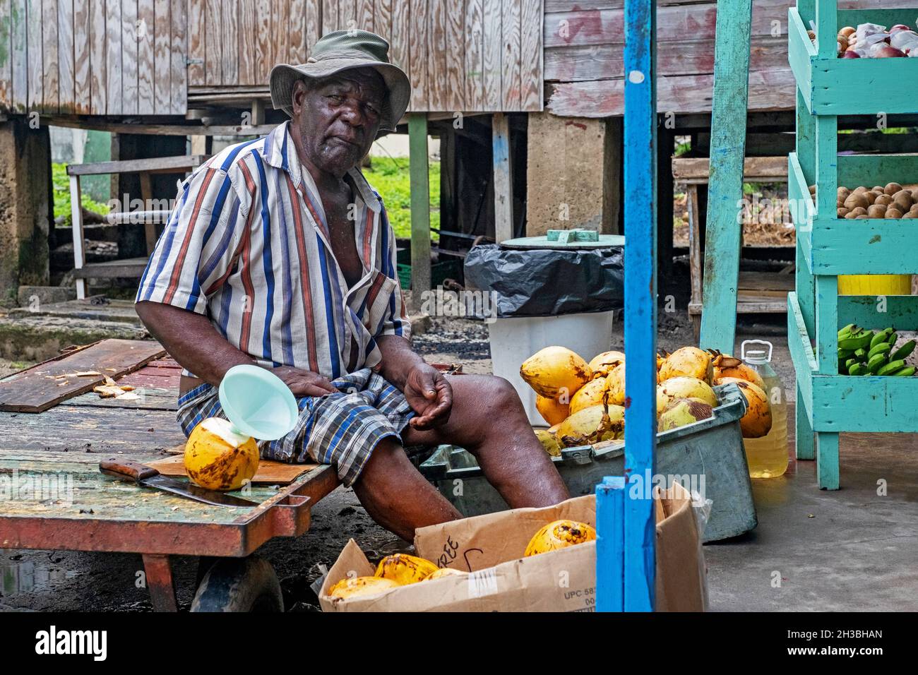 Uomo nero che vende succo di cocco al mercato nella capitale Port Elizabeth sull'isola Bequia, Saint Vincent e Grenadine nei Caraibi Foto Stock