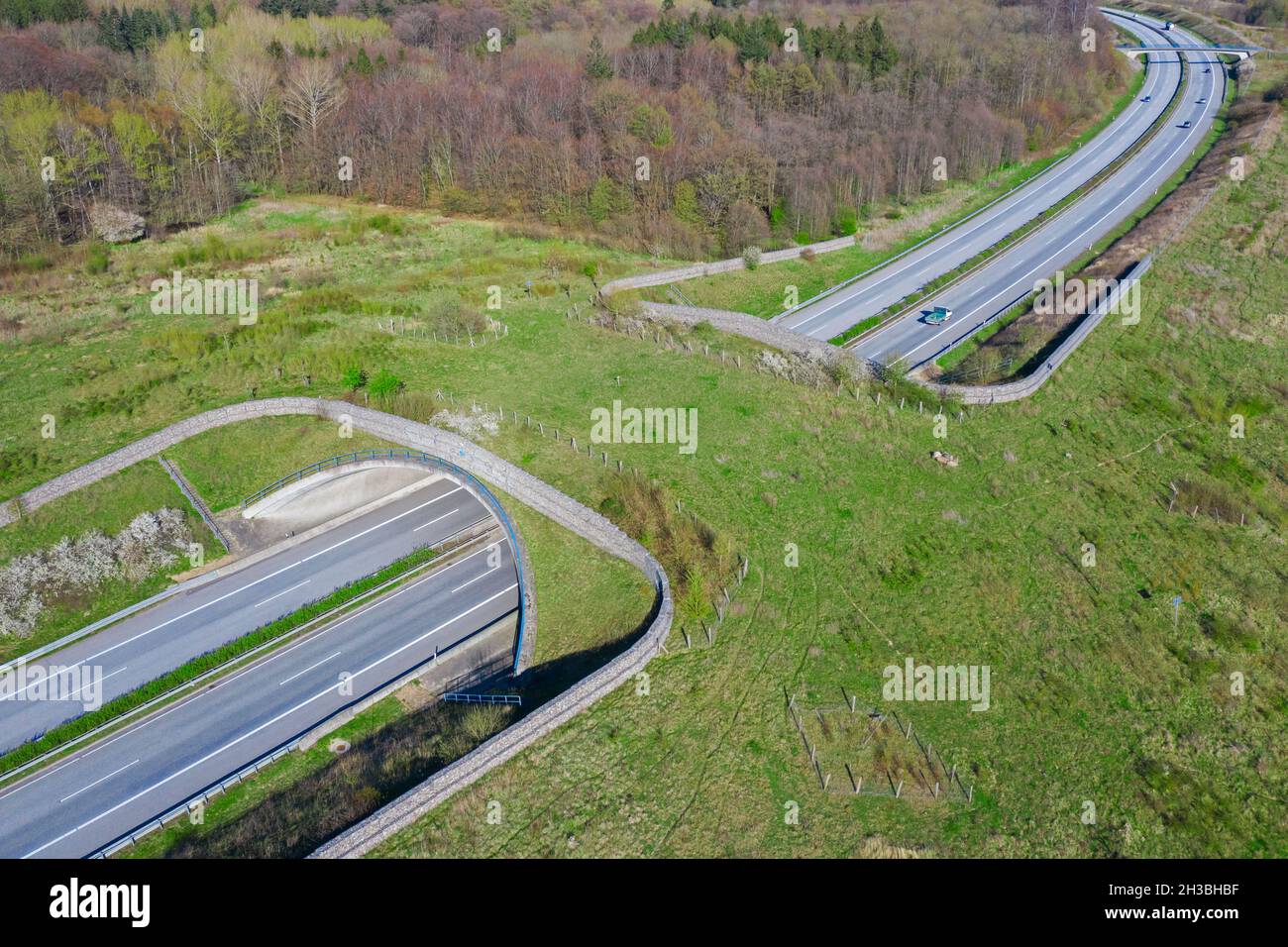 Veduta aerea sopra la fauna selvatica che attraversa / il cavalcavia della fauna / ponte degli animali / viadotto / ponte verde che attraversa una strada in Schleswig-Holstein, Germania Foto Stock