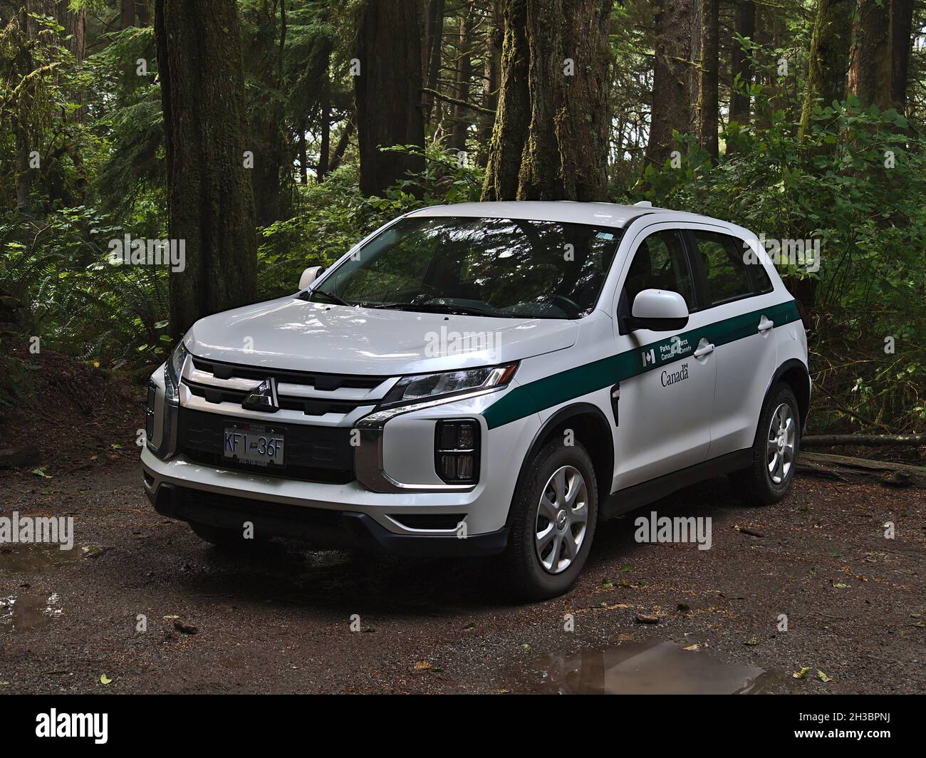 Parcheggio auto di parco (Parks Canada) vicino a Florencia Bay nel Pacific Rim National Park, Vancouver Island. Concentrarsi sulla parte anteriore del veicolo. Foto Stock