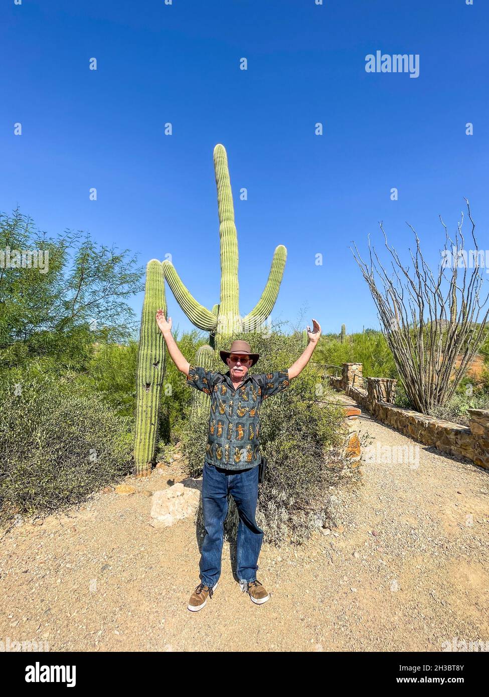 L'uomo divertente negli anni sessanta imita Saguaro Cactus tenendogli le braccia Foto Stock