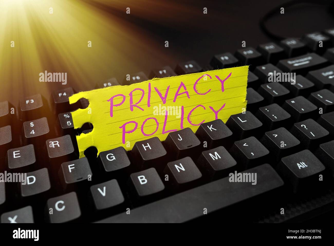 Cartello con la scritta a mano Informativa sulla privacy. Internet Concept documento che spiega come un'organizzazione gestisce i client digitando Online Class Review Notes Foto Stock
