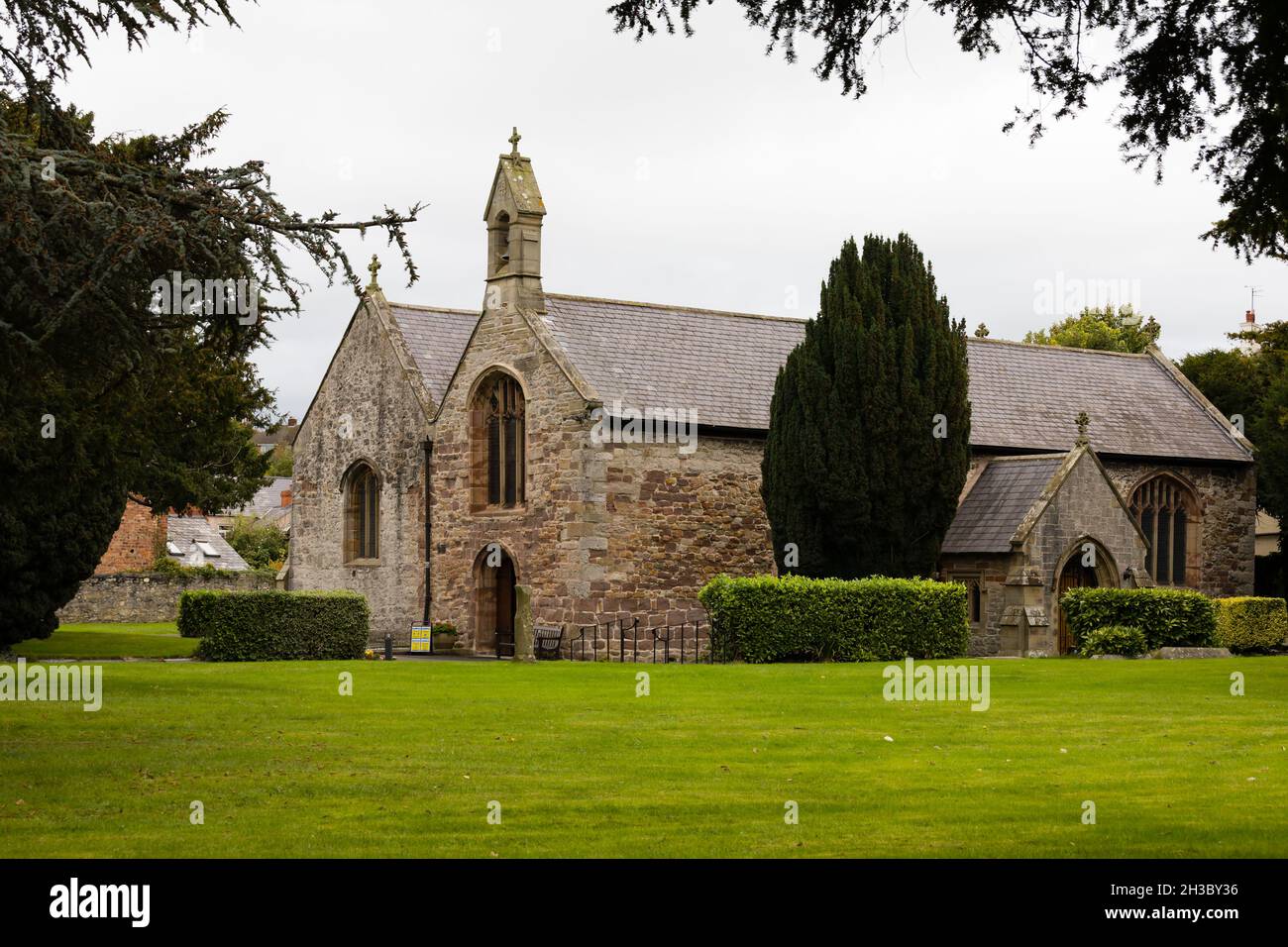 Chiesa parrocchiale di St Asaph, st Asaph, Denbighshire, Galles. Foto Stock