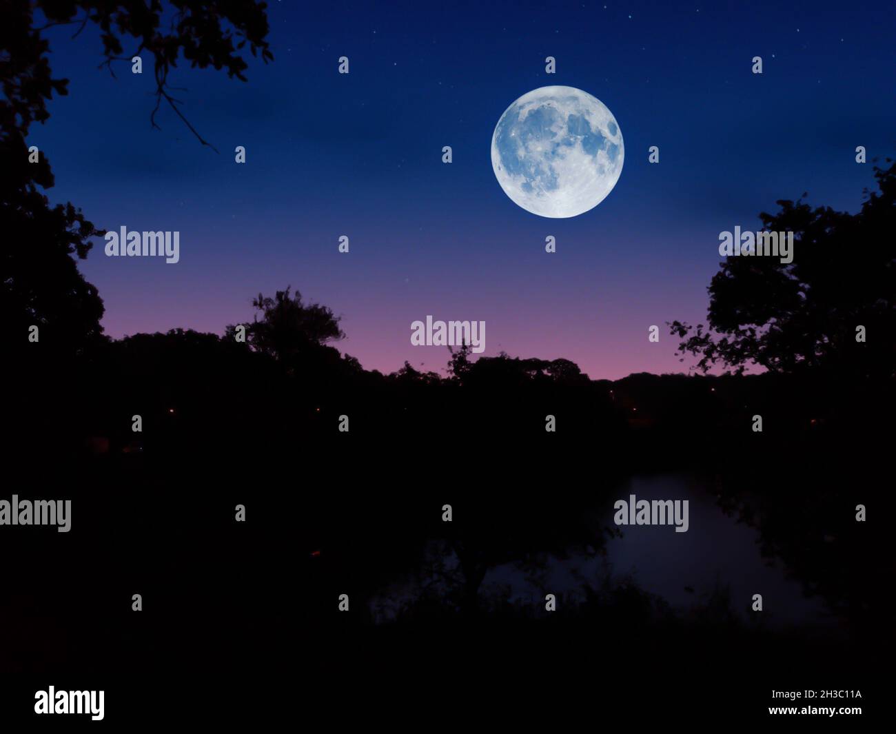 Vista panoramica della luna piena che sorge su un piccolo lago in una foresta. Immagine fantasy. Foto Stock