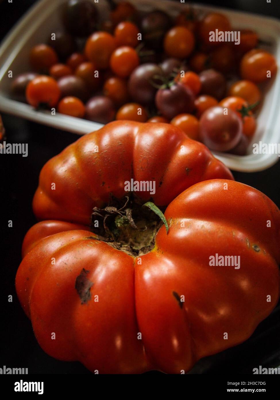 Pomodori da giardino freschi, coltivati in casa, USA, 2021 © Katharine Andriotis Foto Stock