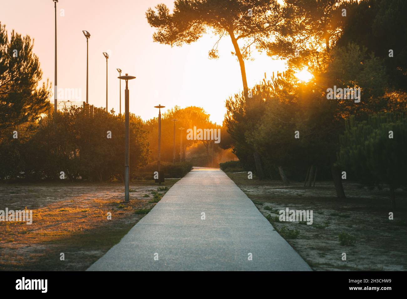 Passaggio vuoto o strada nel parco pubblico della città al tramonto Foto Stock