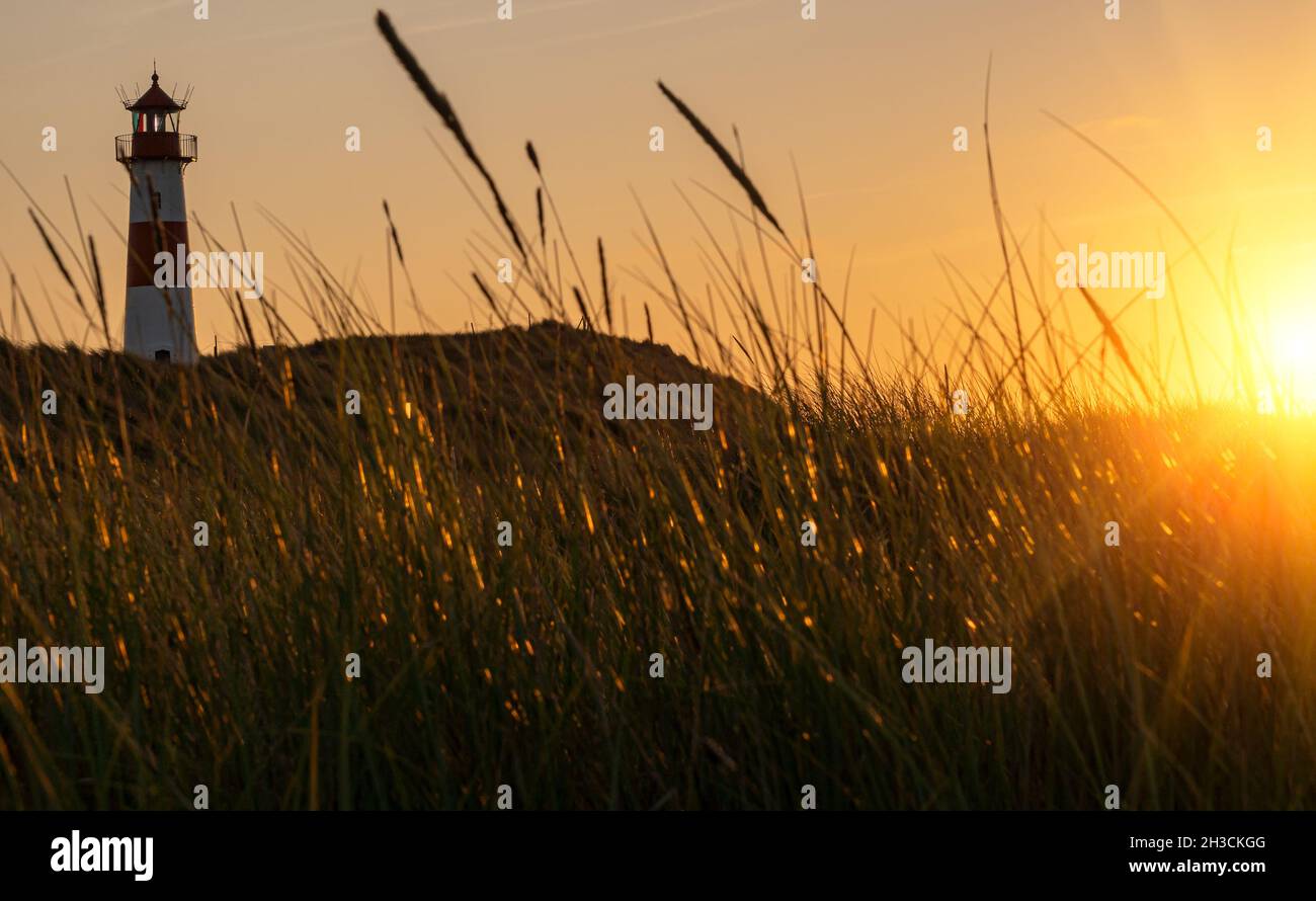 Bella Lista del faro-Ost in luce del tramonto - sull'isola Sylt, Germania Foto Stock