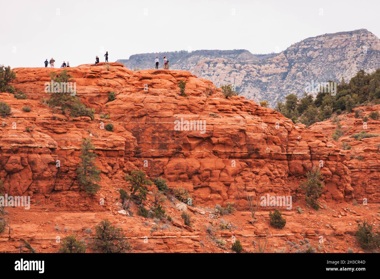 Un gruppo di escursionisti si arrampicava sulle rocce rosse di Sedona, come si vede dal percorso escursionistico Airport Loop Foto Stock