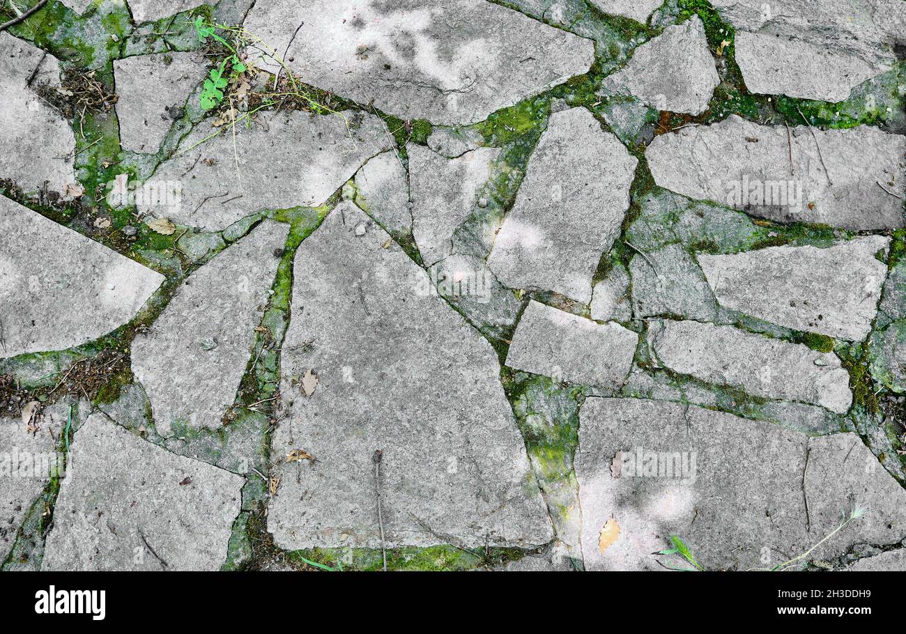 Percorso vecchio stile e retro. È fatta di pietre e l'erba verde sta crescendo le lacune fra le pietre. Foto Stock