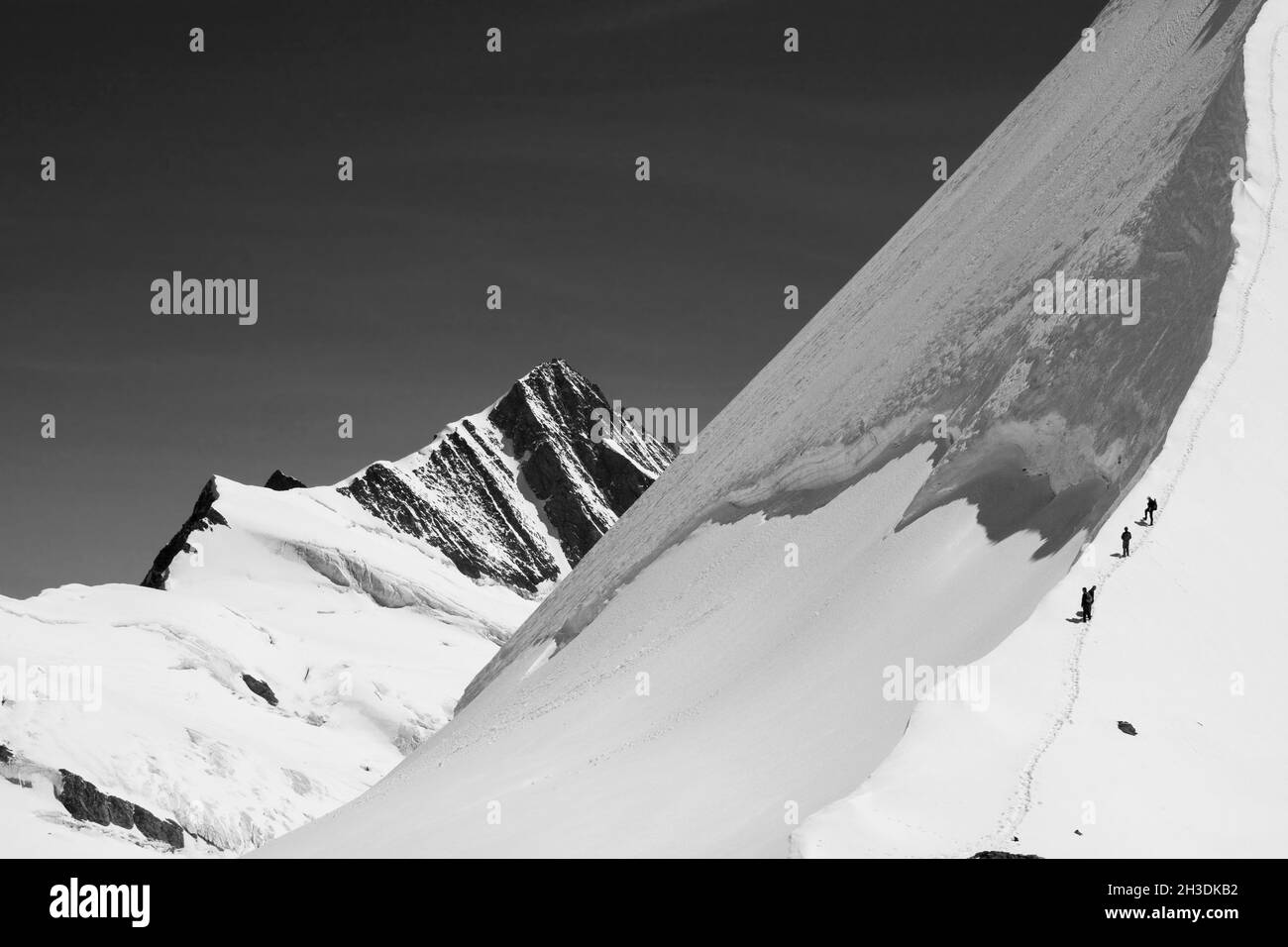 Scalatori sul crinale nord-occidentale del Trugberg da Obers Mönchjoch, Jungfrau-Aletsch, Svizzera, con il Fiescherhorn oltre. Versione in bianco e nero Foto Stock