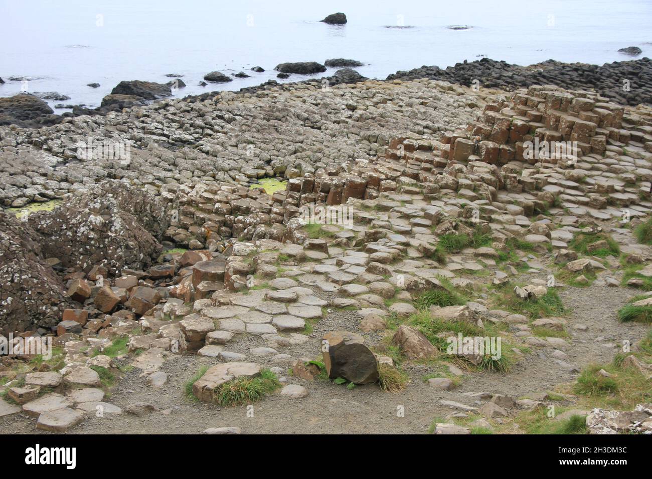 Vista sul Selciato del gigante, irlanda del Nord Foto Stock